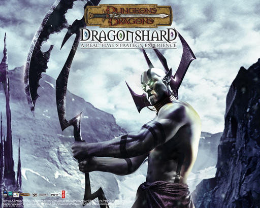 Dragonshard: Кристалл всевластья - Почти Dungeons & Dragons.