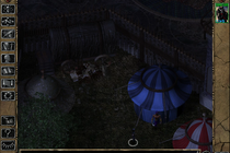 Baldur's Gate II: Shadows of Amn: Как разобраться с джинном